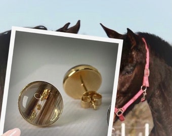 Animal hair jewelry, horse hair jewelry, gold-plated stud earrings personalized with your favorite memory