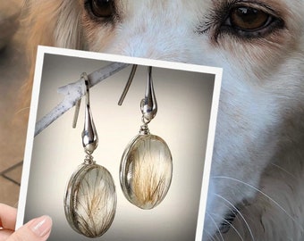 Animal Hair Earrings 925 Silver & Gold, Memorial Jewelry
