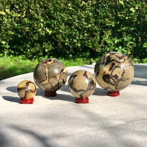 May include: Four polished, spherical, brown and tan, geode spheres of varying sizes on wooden stands. The spheres have a unique, natural, patterned surface.