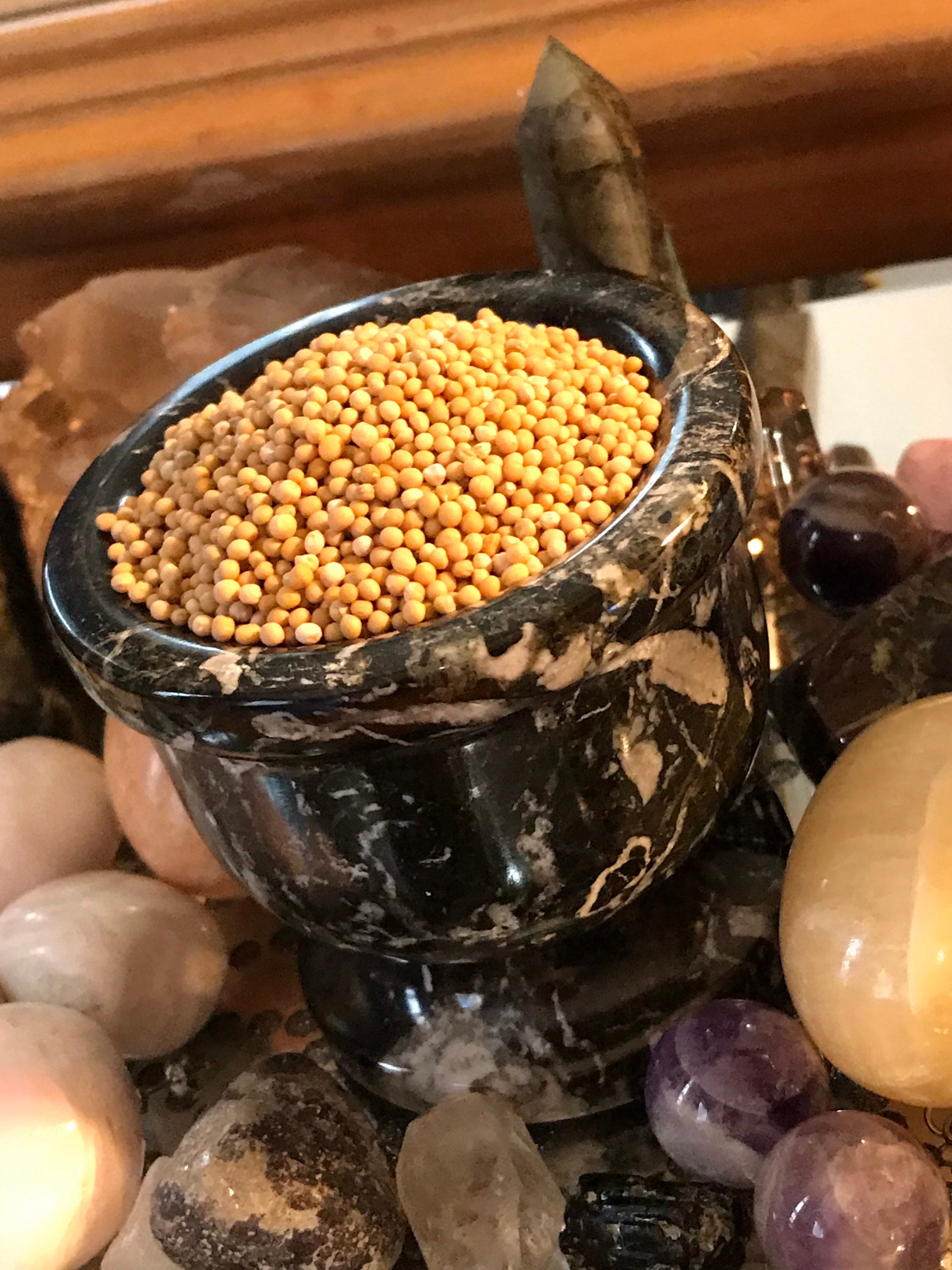 White/yellow Mustard Seed Aka: Eye of Newt - Etsy UK