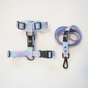 BUNDLE - Cotton Candy Walk Set