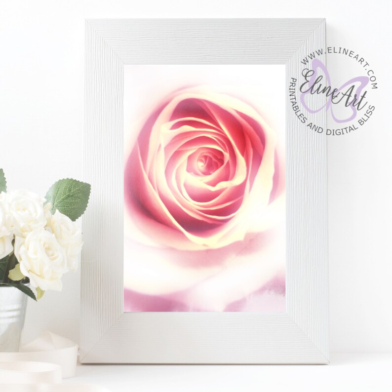 Pastel Pink Rose Fine Art Photography Printable Wall Art Decor | Etsy