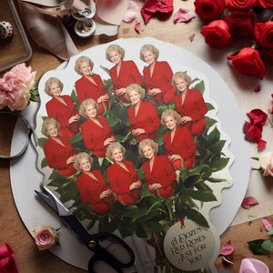 Funny Friends Gift The Golden Girls Dozen Red Roses: Unique Gift Ideas for Birthday, Retirement Party, and Betty White Anniversary Surprise image 3