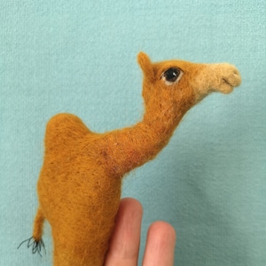 finger puppet dromedary