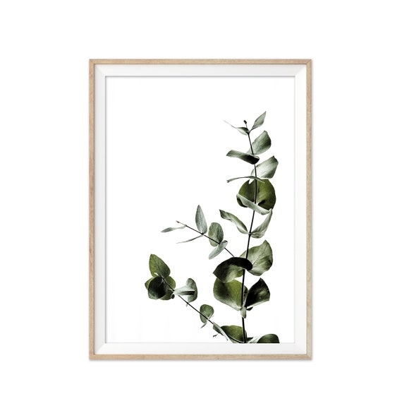 Leaf Print Botanical Wall Art Fl Leaves Giclée - Botanical Wall Art Australia Leaf Print Botanical Wall Art Fl Leaves Giclée - Botanical Wall Art Australia