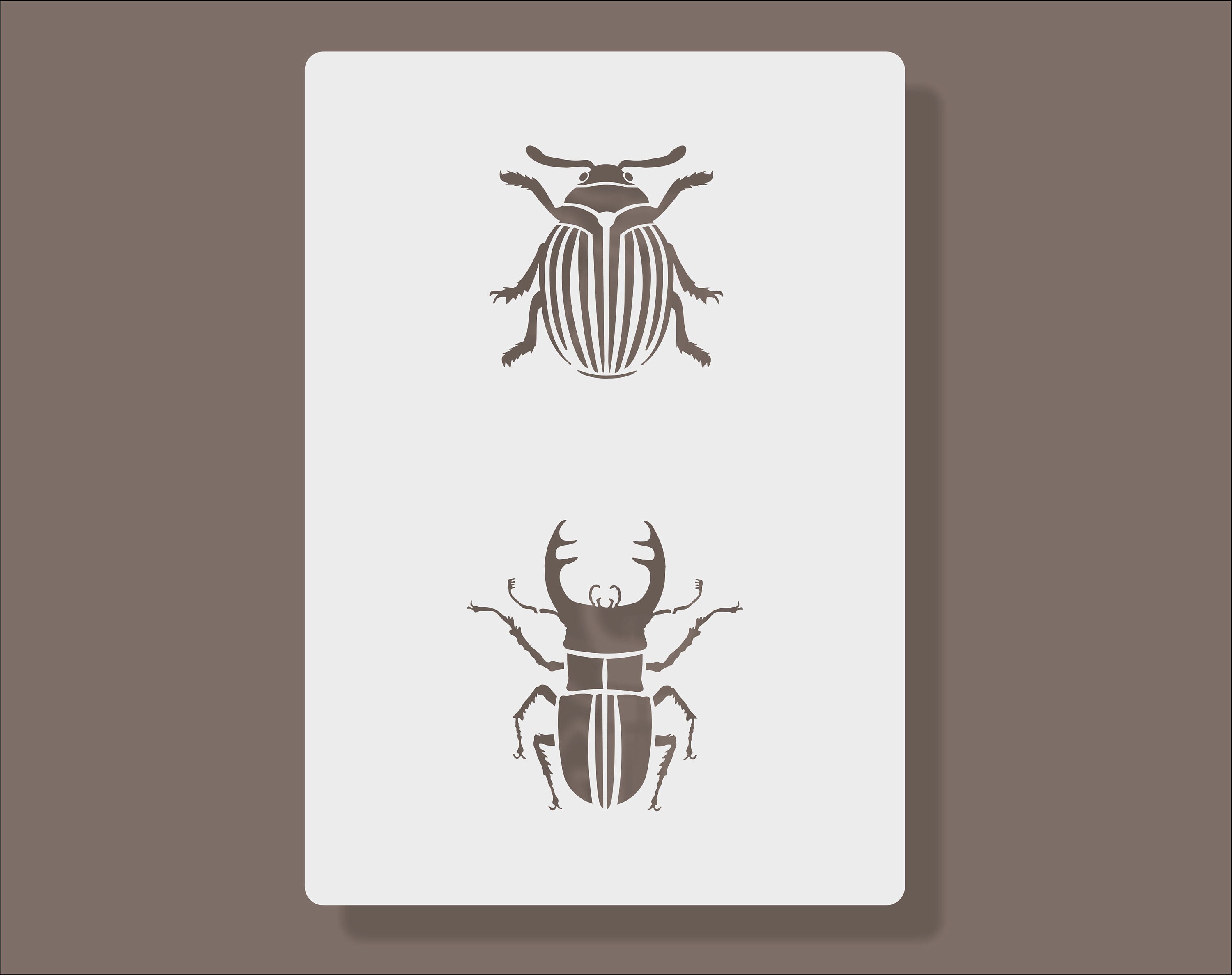 Beetle Insect Stencil A4 | Etsy