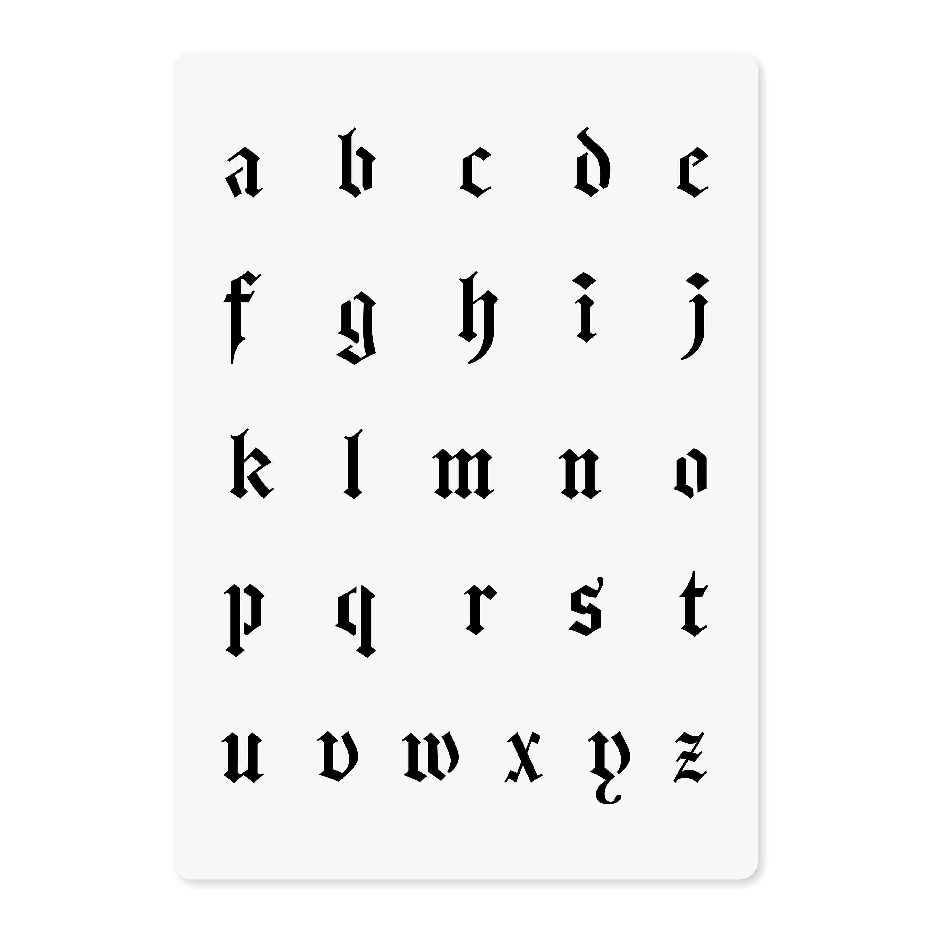 Frises & alphabets anciens bicolores 洋書 洋書 FRISES & ALPHABETS ANCIENS BICOLORES