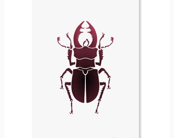 Stag Beetle Stencil Reusable