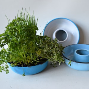 old Danish enamel mold as a herb garden