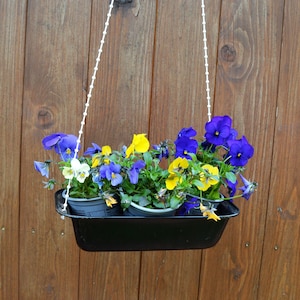 以下が含まれることがあります： 青、黄色、白のパンジーがミックスされた吊り下げ式のプランター。プランターは黒いプラスチック製で、白いチェーンが付いています。