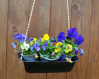 Old rectangular cake tin used as a hanging planter, hanging planter for flowers