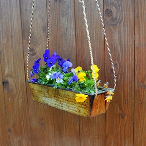 Könnte beinhalten: Ein Hängekorb aus rostigem Metall mit blauen und gelben Stiefmütterchen, die darin wachsen. Der Korb hängt an zwei Schnüren an einer Holzwand.
