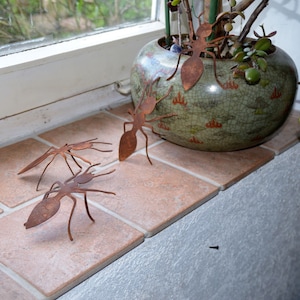 3 pieces of ants on the windowsill or in the flowerbed, garden decoration in metal, ants in rust
