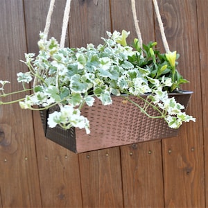 Könnte beinhalten: Ein hängender Pflanzkasten aus Kupfer mit gehämmerter Textur. Der Pflanzkasten ist mit grünen und weißen Blattpflanzen gefüllt.