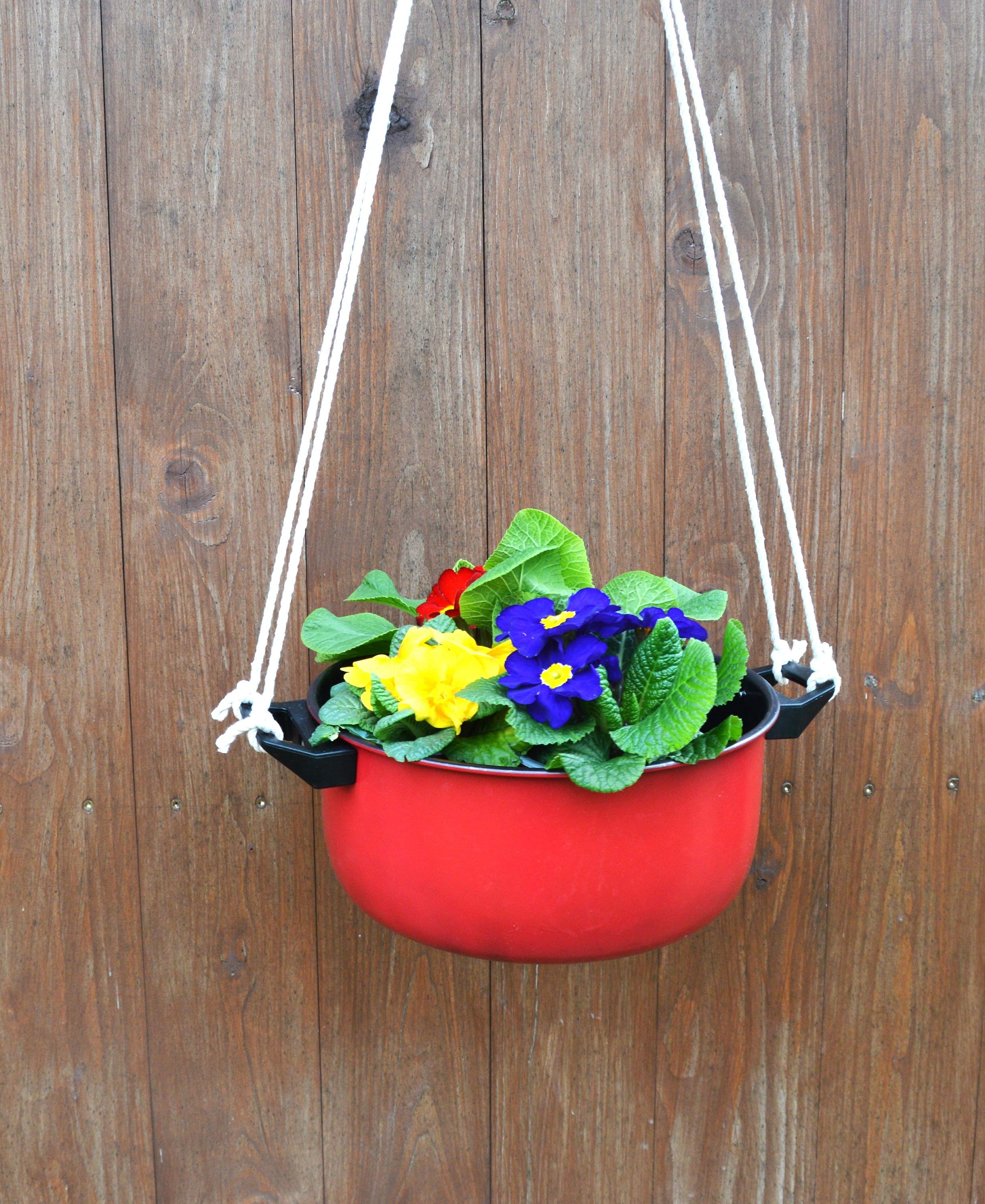 vieille marmite comme panier suspendu, panier suspendu, jardinière suspendue,