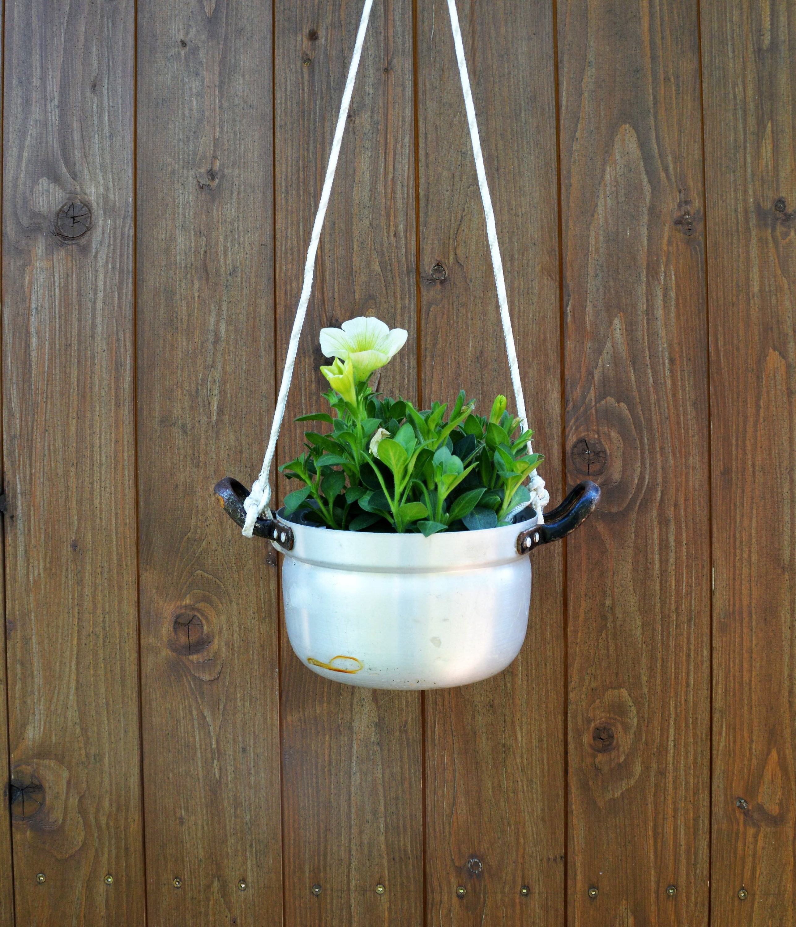 vieille marmite comme panier suspendu, panier suspendu, jardinière suspendue,