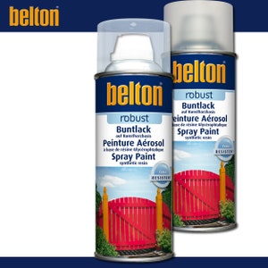 Kwasny Belton robust 400 ml coloured lacquer clear lacquer high-gloss or matt to choose from