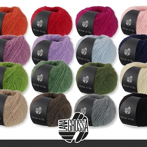 Può includere: Una collezione di gomitoli di lana colorati in varie tonalità, tra cui arancione, rosso, rosa, viola, blu, verde, beige, marrone, grigio e nero. Ogni gomitolo ha un'etichetta nera con testo bianco. Il logo Lana Grossa è visibile.
