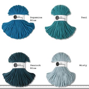 May include: Four hanks of braided cord arranged in a grid, each secured with a white paper band labeled Bobbiny. The colors are Dopamine Blue, Teal, Peacock Blue, and Misty. Each hank features a consistent braided texture and a fan-like shape.
