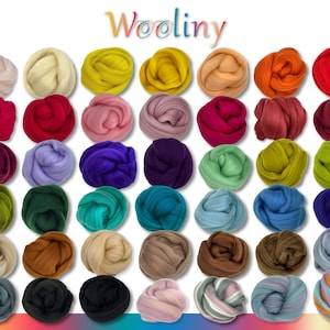 Wooliny 30 g di lana da infeltrire lana merino lana da favola 42 colori
