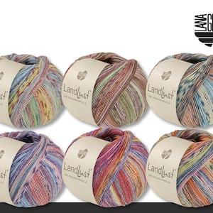 Lana Grossa 5 x 100 g Landlust The Sock Yarn Silk Knitting Crochet Wool Yarn 6 Colors