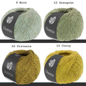 Lana Grossa 50 g Diversa Wool Yarn Knitting Crochet Cotton Blend Yarn Mélange Effect 22 Colors image 6