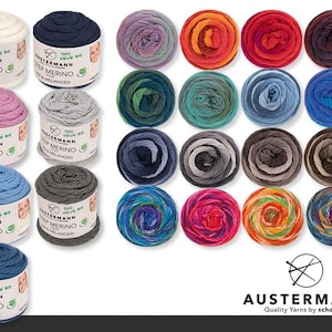Austermann 100 g Step Merino 4-ply virgin wool sock wool knitting crochet wool 23 colours