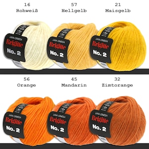 Lana Grossa 5 x 50 g Brigitte No. 2 net yarn wool made from alpaca and cotton 43 colors image 2