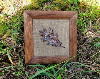 Cuadro botánico de hoja de roble auténtica con acabado en cobre, decoración de naturaleza enmarcada.