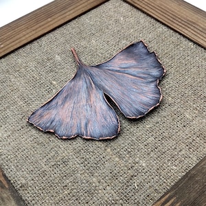 Real ginkgo biloba leaf art. Gingko biloba tree wall art, botanical wall art, floral wall decor, Real leaf picture decor