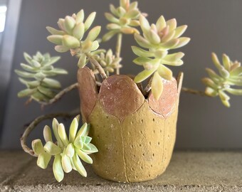 one petal pink / beige sapphire planter from Yoko Iida Studio