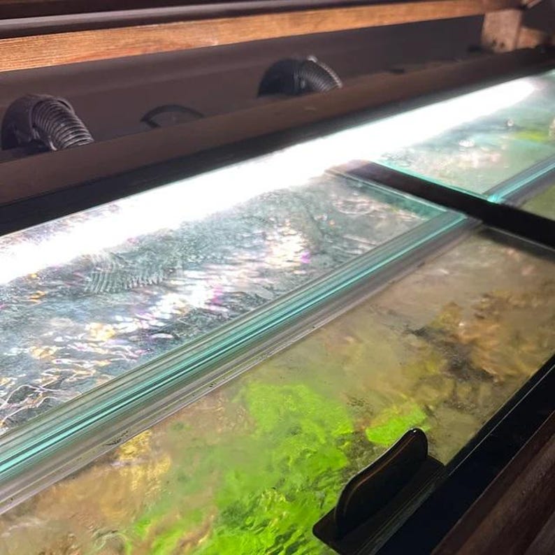 May include: A close-up of a glass aquarium with green plants growing inside. The aquarium has a wooden frame and a clear glass lid. The water is clear and there are bubbles rising to the surface.