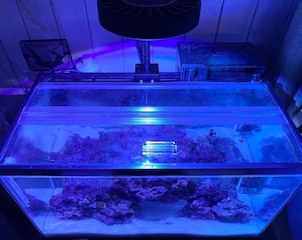 Bisagra para tapa de acuario, accesorios para terrario y pecera, bisagra superior de repuesto con agarre de goma, bisagras para paneles de vidrio transparente de 1/8 a 1/4.