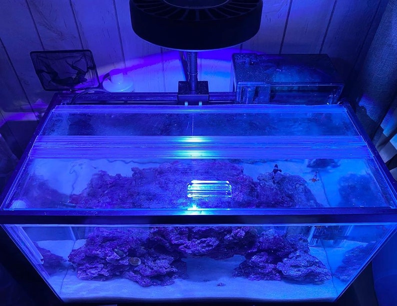May include: A blue glass saltwater aquarium with a white sandy bottom and a large rock formation in the center. The aquarium is lit by a blue and purple light.