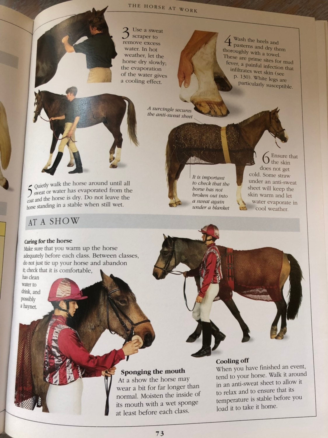 Vintage Book the Complete Horse Care Manual DK 1995 Country Etsy