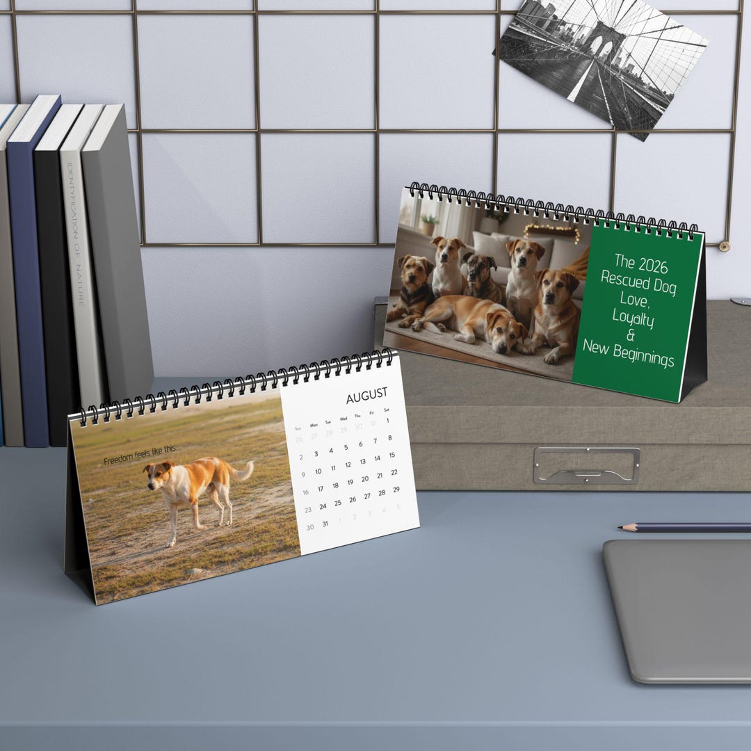 2026 Rescued Senior Dog Calendar, Monthly Desktop Calendar for Dog ...