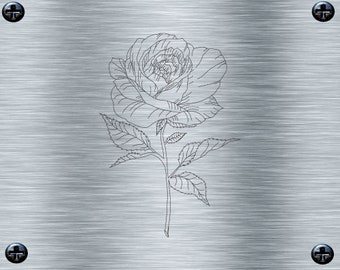 Stickdatei Redwork einzelne Rose -13 x 18 Rahmen - Botanische Stickmotive, Blumenstickerei, digitale Stickdatei, Nadelmalerei,digitale Datei