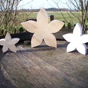 Fleur, fleur courbée, naturelle ou blanche, 3 tailles image 4