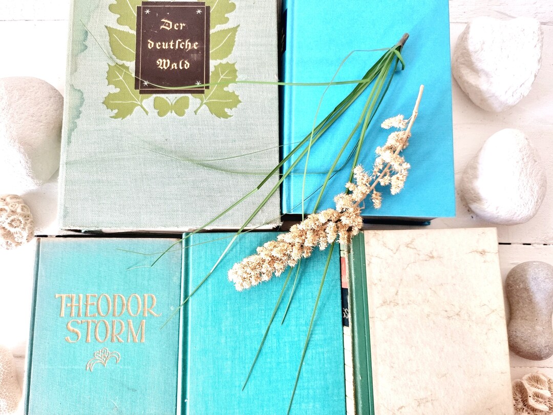 Vintage Book Package, Collection of Old Books, Maritime Eye-catcher ...