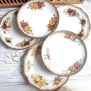 Rosy Prospects Vintage Rose Porcelain Romantic Cottage Garden Party Cake Plates with Roses Spring Country Garden Plates Mix Wedding