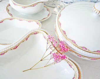 Art Deco Fraureuth roze porseleinen servies, serveerschalen, soepterrines, kommen, sauskommen, schalen, roze bloemendecoratie, landelijke keuken