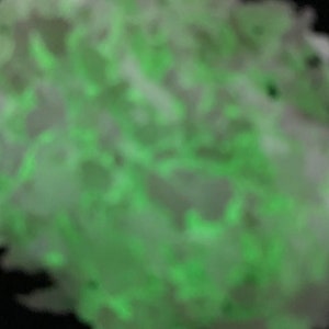 May include: A close-up of a blurred, abstract image featuring a cluster of white and light green shapes against a black background. The green areas appear to glow, creating a soft, ethereal effect. The overall composition suggests a natural, organic form.