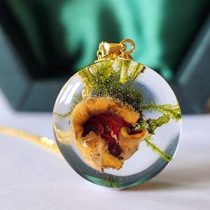 Handmade Real Mushroom Necklace: Resin Nature Jewelry, Gold Plated