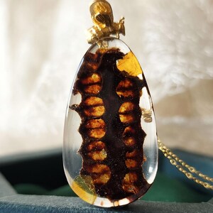 Real honeycomb bee necklace handmade bio organic resin necklace Birthday gift for her bee lovers keepers jewelry bee gift honeycomb jewelry