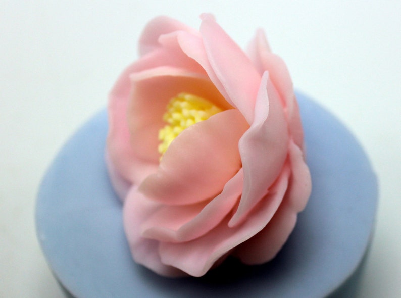 May include: A single pink flower with a yellow center. The flower is on a light blue background.