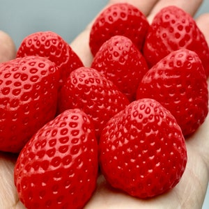 Strawberry 3d silicone mold. Embeds Strawberry mold. Epoxy Resin Candle wax craft mold