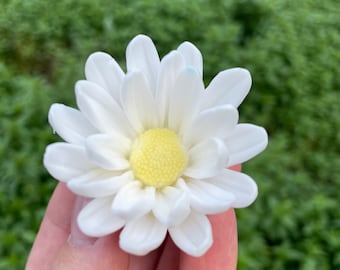 May include: A white daisy with a yellow center. The flower is held in a hand.