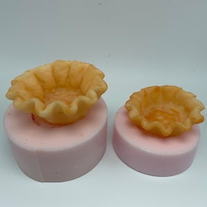 Pie Tart crust silicone mold. Food shape mold. Molds for soap, resin, wax etc. Fruit tart mold.