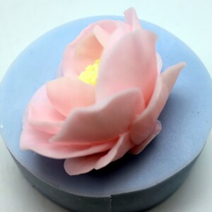 May include: A pink flower with a yellow center, sitting on a light blue surface.