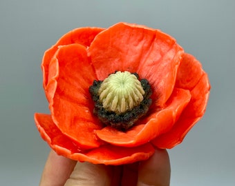 May include: A single, bright orange poppy flower with a black and green center. The flower is in bloom and has multiple petals.